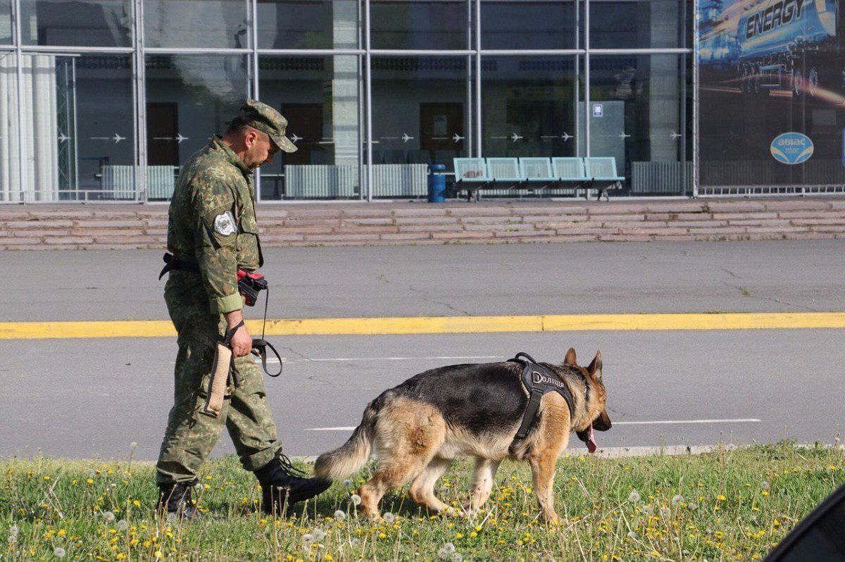 В Днепре стали чаще сообщать о «минированиях»: что грозит злоумышленникам 2