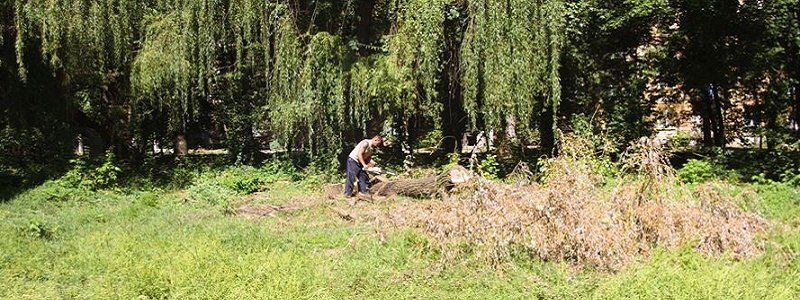 Горсовет Днепра за миллион гривен облагородит парк Кирилловка