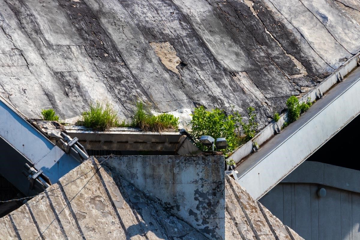 Парк имени Глобы в Днепре ожидают перемены 7