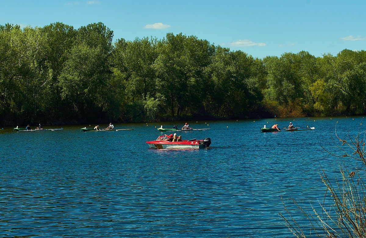 Как Филатов выполняет свои обещания: Днепр город-сад и спортивная столица 10