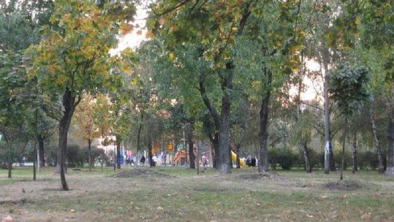 Власти Киева потратят 20 миллионов на обустройство парков 1