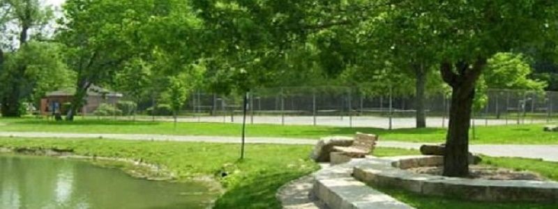 В Днепре за 139 миллионов поухаживают за  зелеными насаждениями