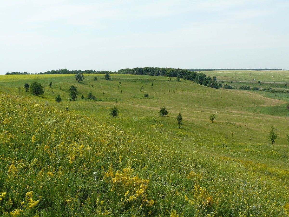 Степные просторы