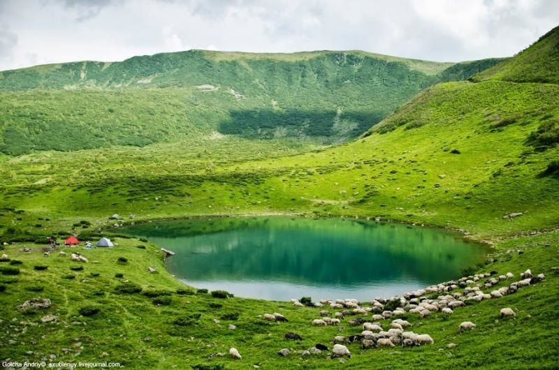 Как добраться из Киева до курортов Карпат и сколько это стоит 2