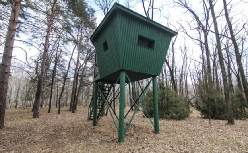 Зачем Президенту Зеленскому три охотничьи резиденции. Часть вторая. Охотничий бордель 4