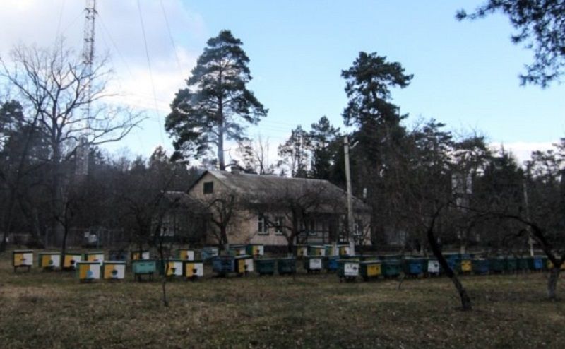 Пасека - возможно была сделана для президента Ющенко