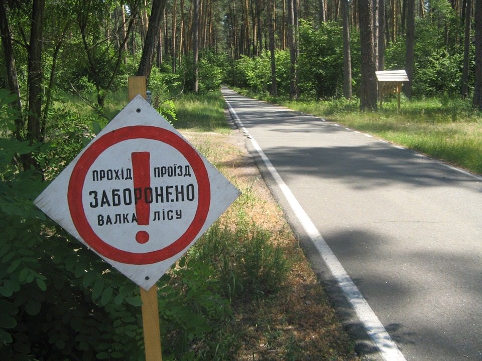 Зачем Президенту Зеленскому три охотничьи резиденции. Часть третья. Президентская лесопилка. 5