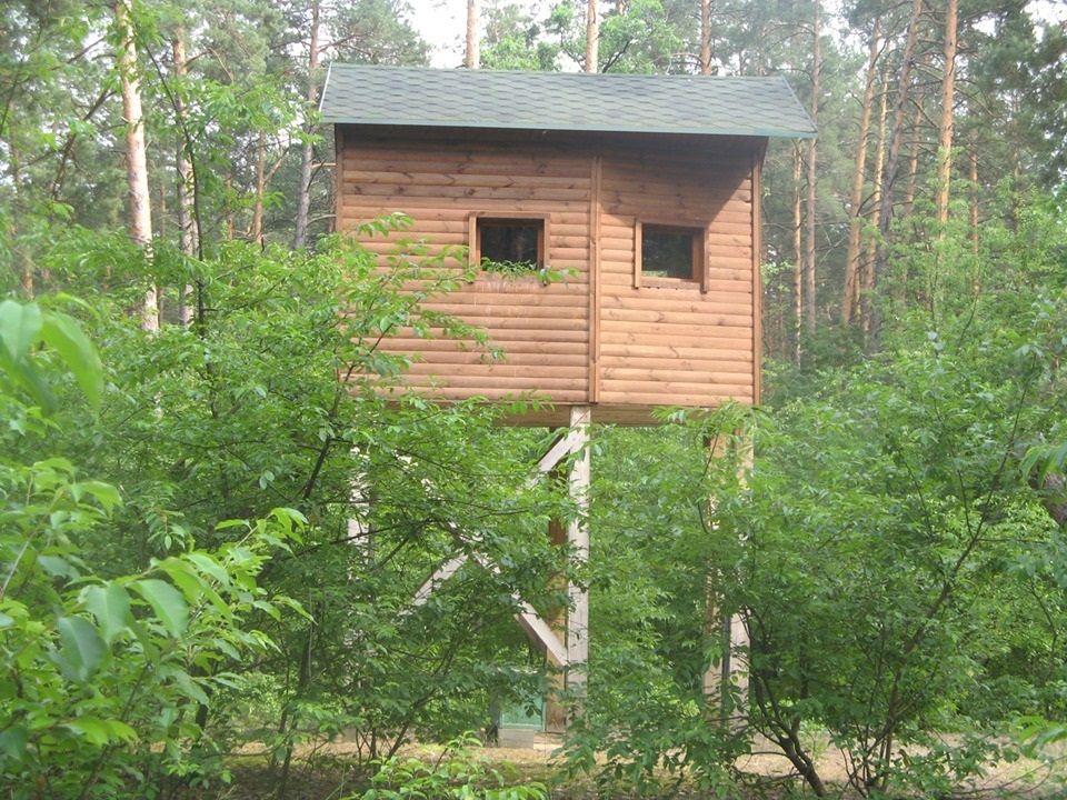 Зачем Президенту Зеленскому три охотничьи резиденции. Часть третья. Президентская лесопилка. 8