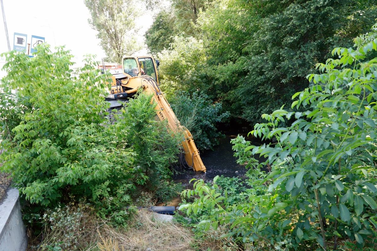 У Дніпрі розчищають дренажно-паводкову канаву в лісопарку Дружби 2