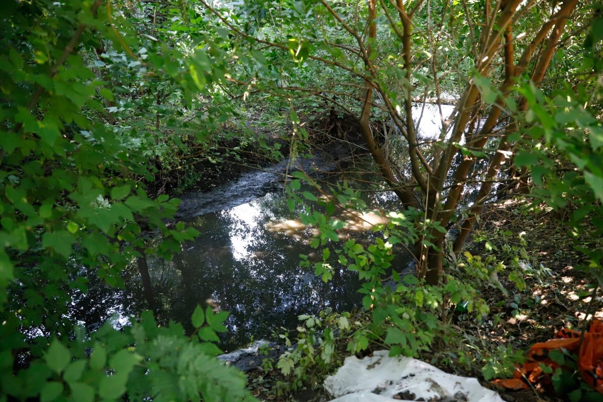 У Дніпрі розчищають дренажно-паводкову канаву в лісопарку Дружби 4