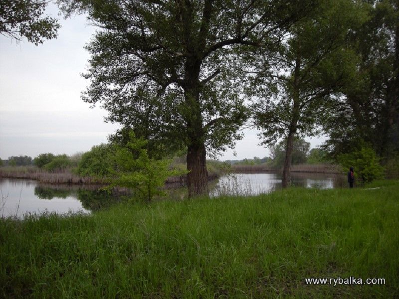Как и в каких местах будут расчищать реку Орель на Днепропетровщине 1