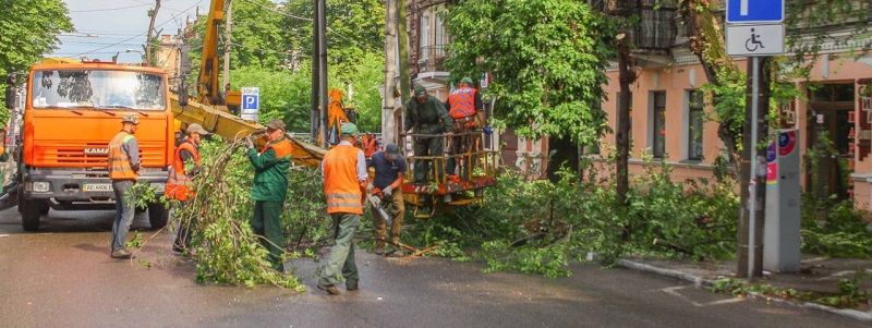 По вул. Старокозацькій у Дніпрі прибрали аварійні дерева, що створювали небезпеку для пішоходів та водіїв