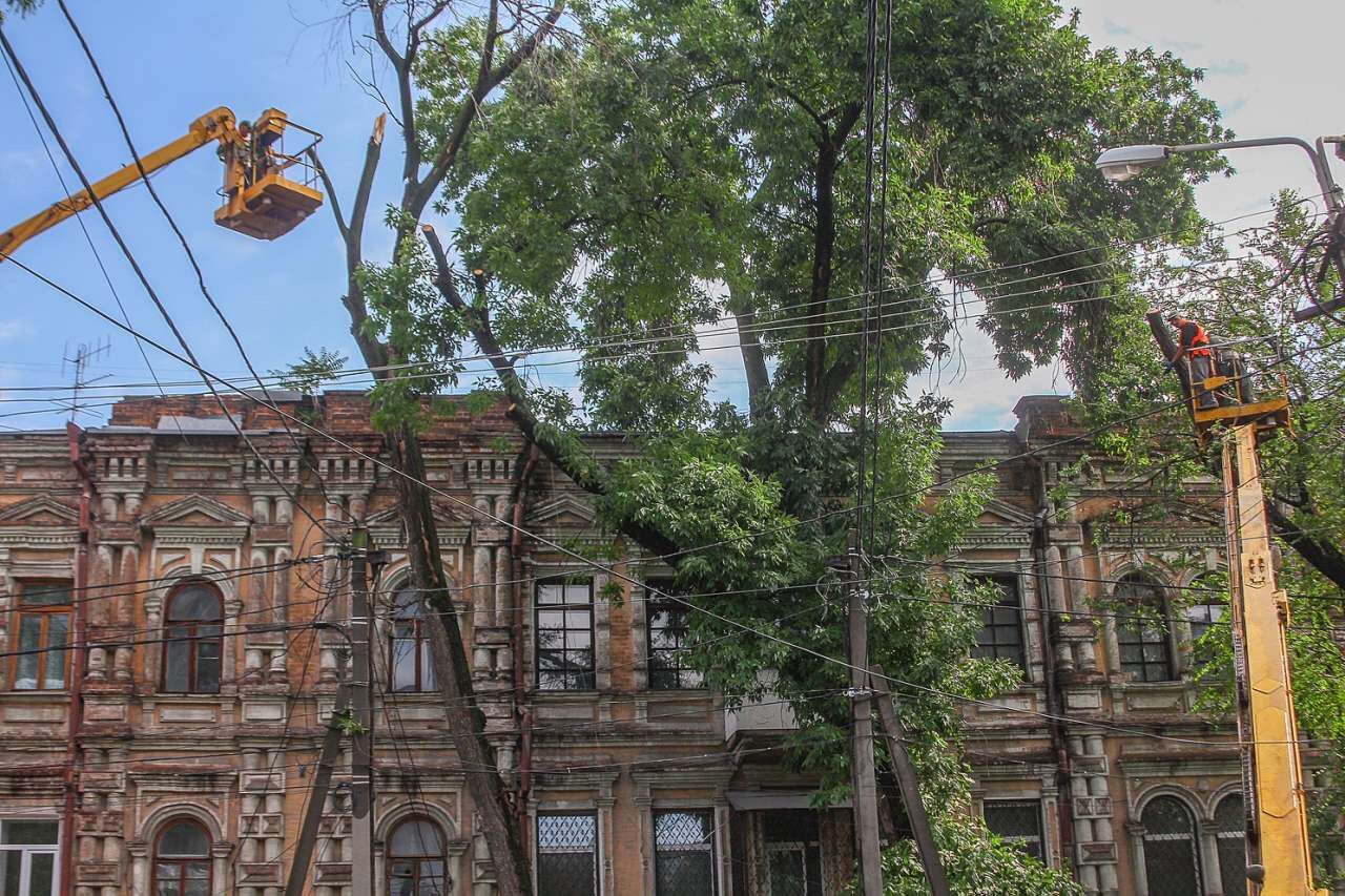 По вул. Старокозацькій у Дніпрі прибрали аварійні дерева, що створювали небезпеку для пішоходів та водіїв 2