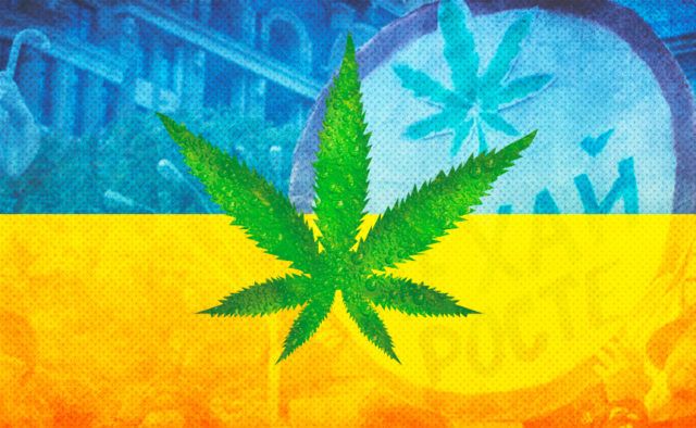 Как в Киеве наказали мужчину за хранение марихуаны для личного потребления 1