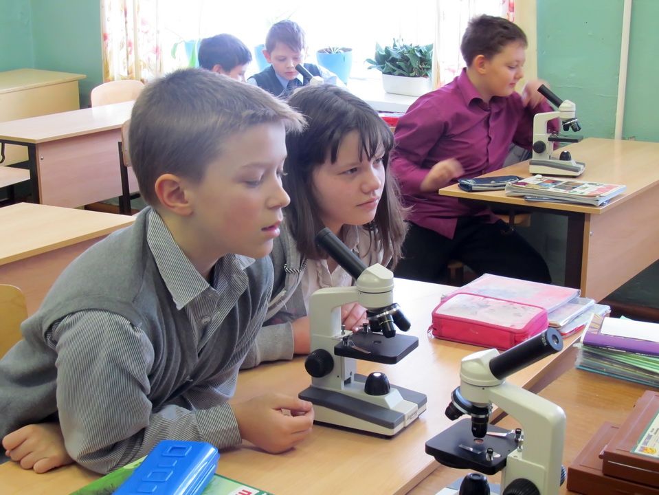 В какие школы Киева закупят новую технику и мебель на 7,5 миллиона гривен 1