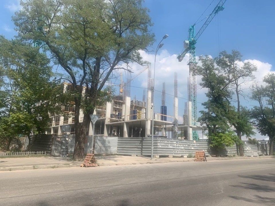 Поможет ли мораторий на вырубку деревьев спасти зеленые насаждения Днепра 1