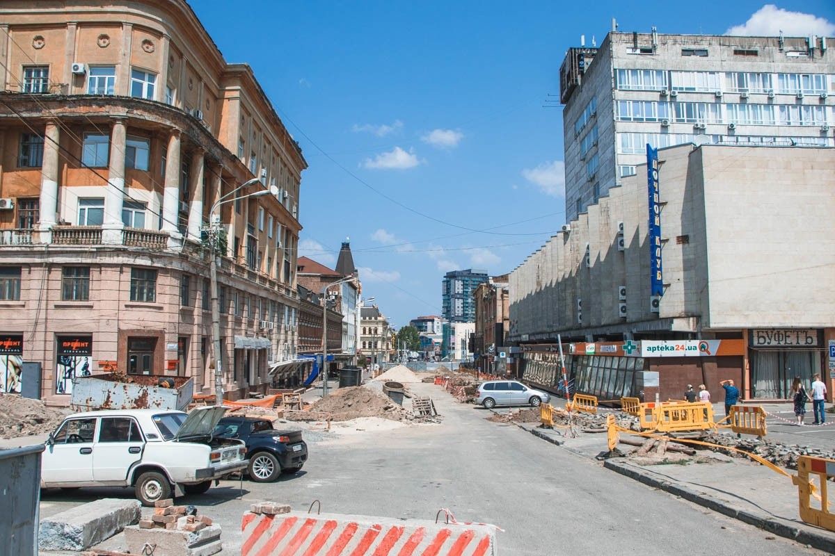 Поможет ли мораторий на вырубку деревьев спасти зеленые насаждения Днепра 5
