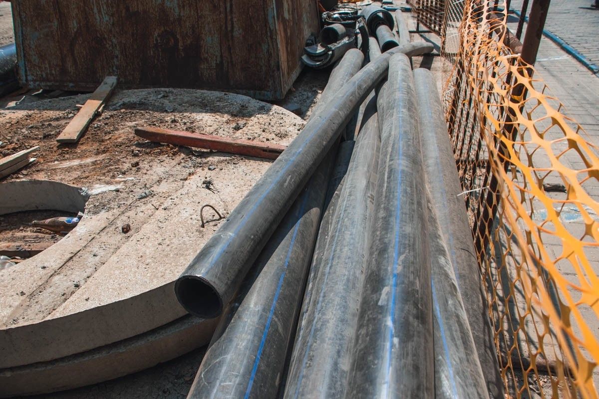 Поможет ли мораторий на вырубку деревьев спасти зеленые насаждения Днепра 7