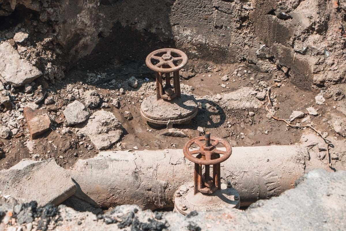 Поможет ли мораторий на вырубку деревьев спасти зеленые насаждения Днепра 9