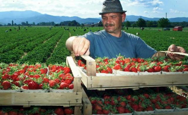 На заробитчан надеяться не стоит: как Украине привлечь инвестиции из заграницы 1