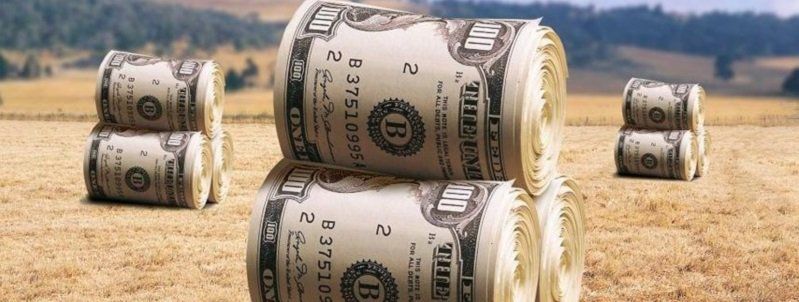 Минус 100 миллионов: ГБР расследует дело, о продаже госземель по цене в 15 раз ниже рыночной