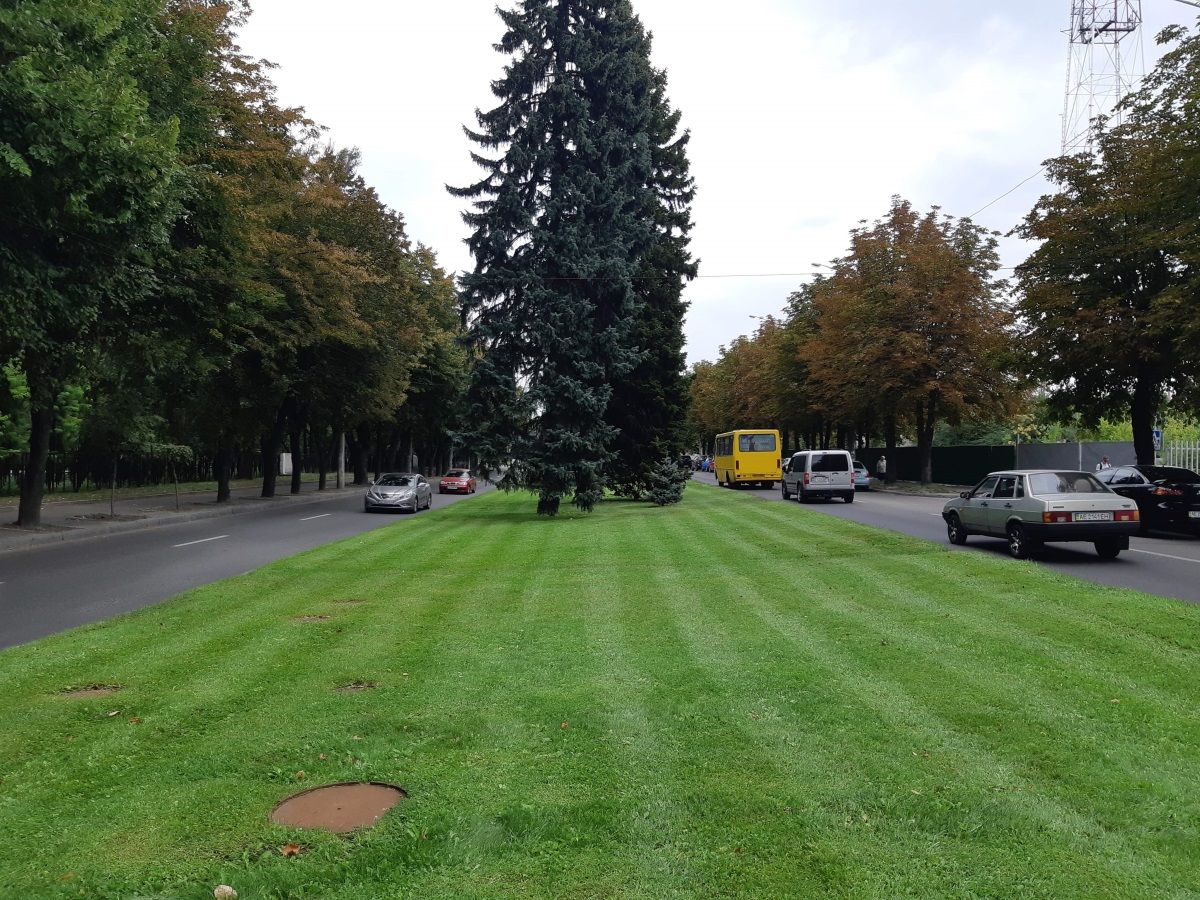 Як у Дніпрі борються з бур'янами та доглядають за газонами 2