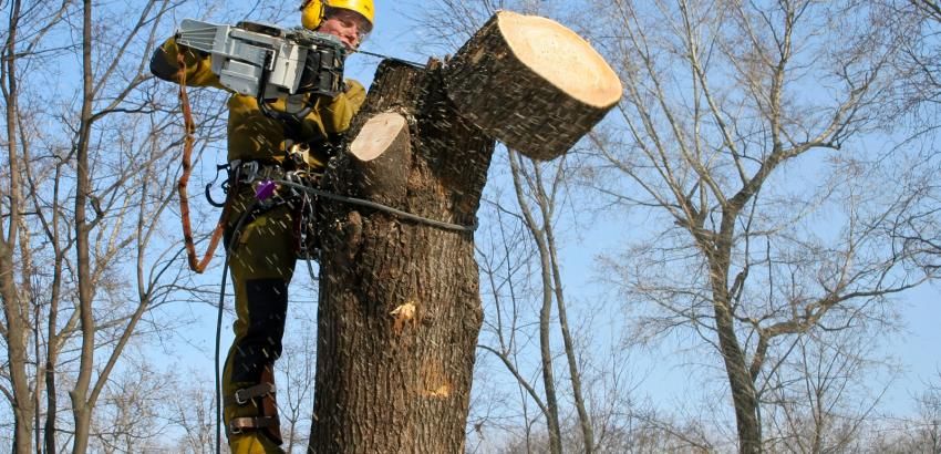 Какие детские сады отремонтируют в Киеве за 9,8 миллиона: перечень адресов 1