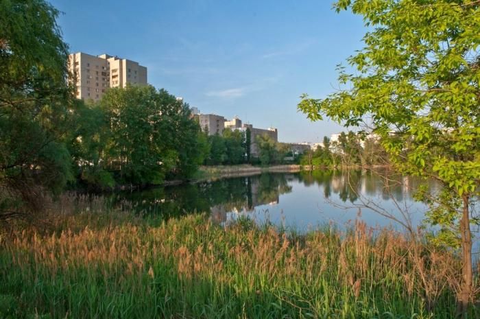 Где в Киеве отремонтируют освещение и расчистят озера за 76 миллионов гривен 1