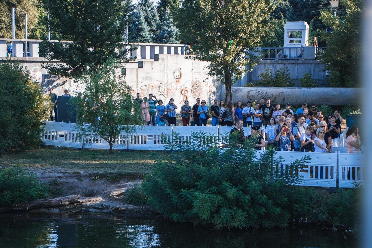 Штурм, пари и кораблики: сколько Днепр заплатил за простой Нового моста 7