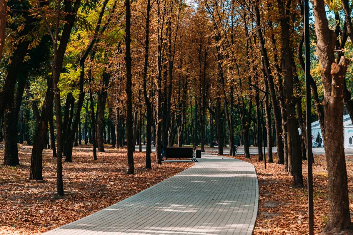 В Днепре открыли реконструированный парк Гагарина: при чем тут горсовет 3