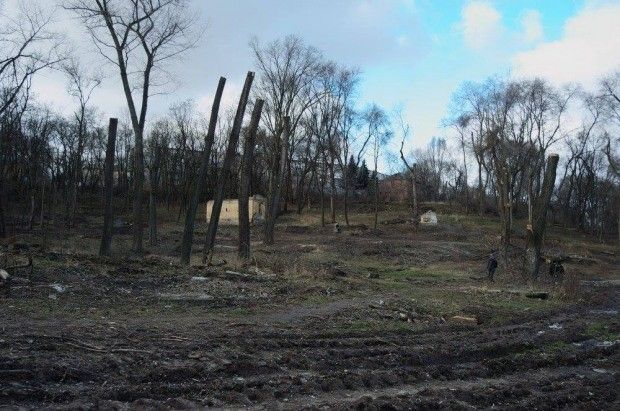 Так выглядела реконструкция городского парка Зеленый Гай