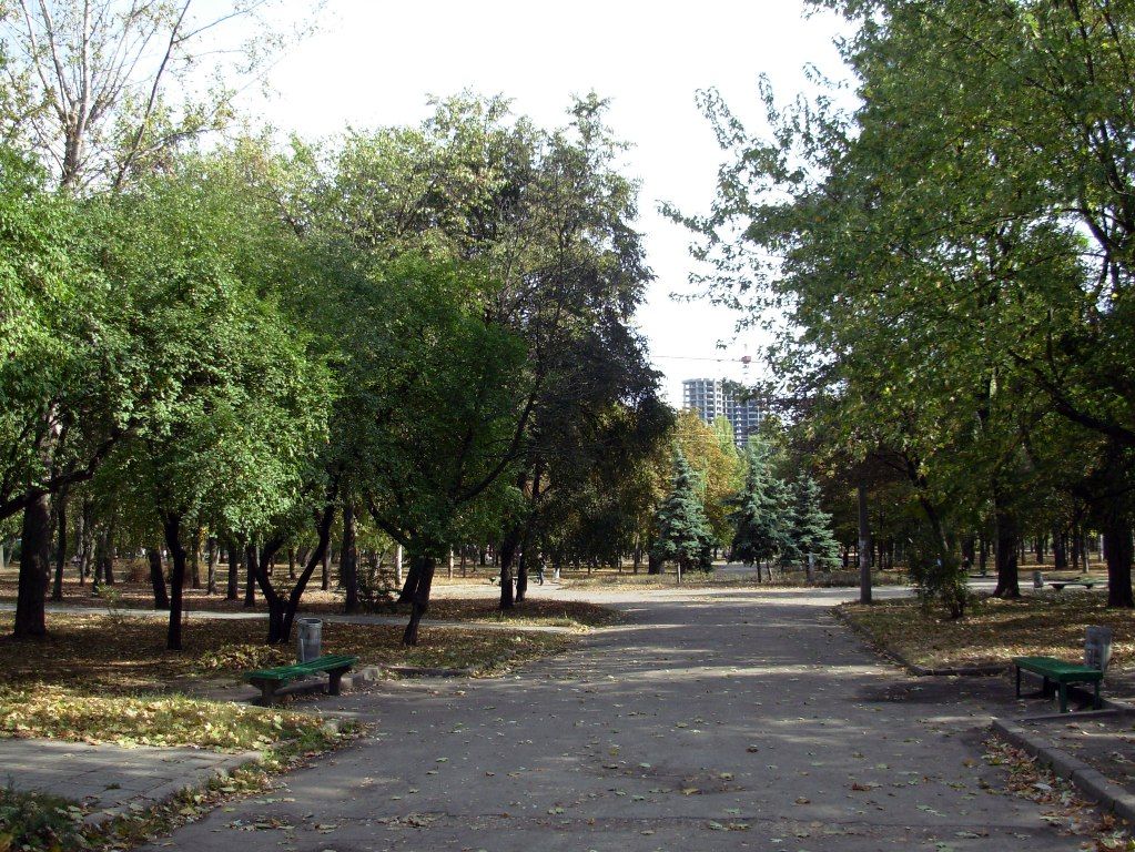 Здесь хотят обустроить беговые дорожки