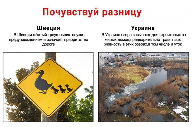 В Киеве активистов, протестующих против застройки озера, начал преследовать суд 2