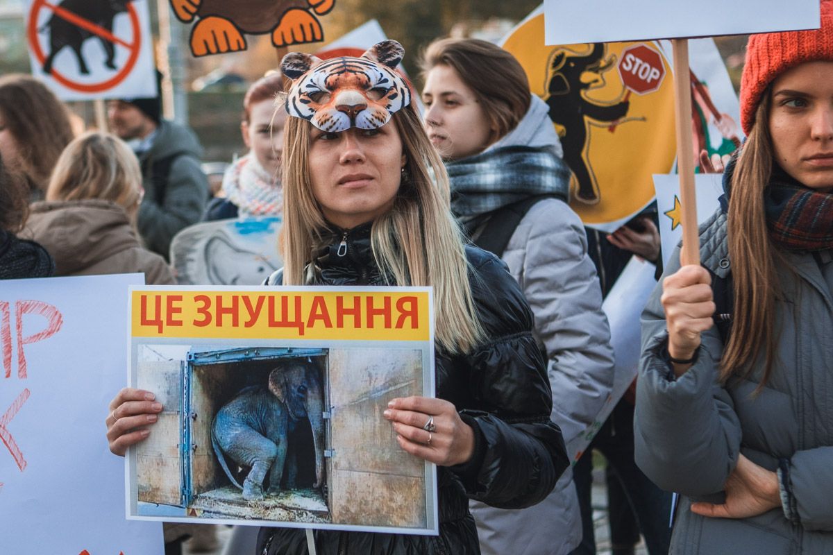 Мэрия Днепра за 2 миллиона гривен поведет детей смотреть на страдающих животных 2