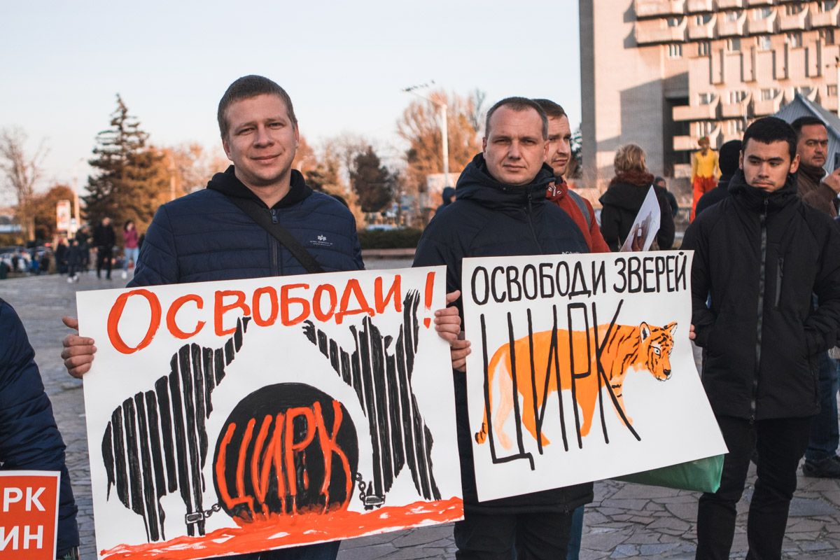 Мэрия Днепра за 2 миллиона гривен поведет детей смотреть на страдающих животных 3