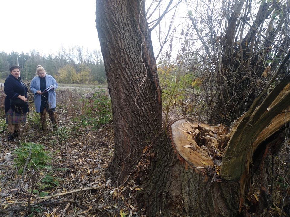 Будут ли выборы в элитной Обуховке под Днепром 3