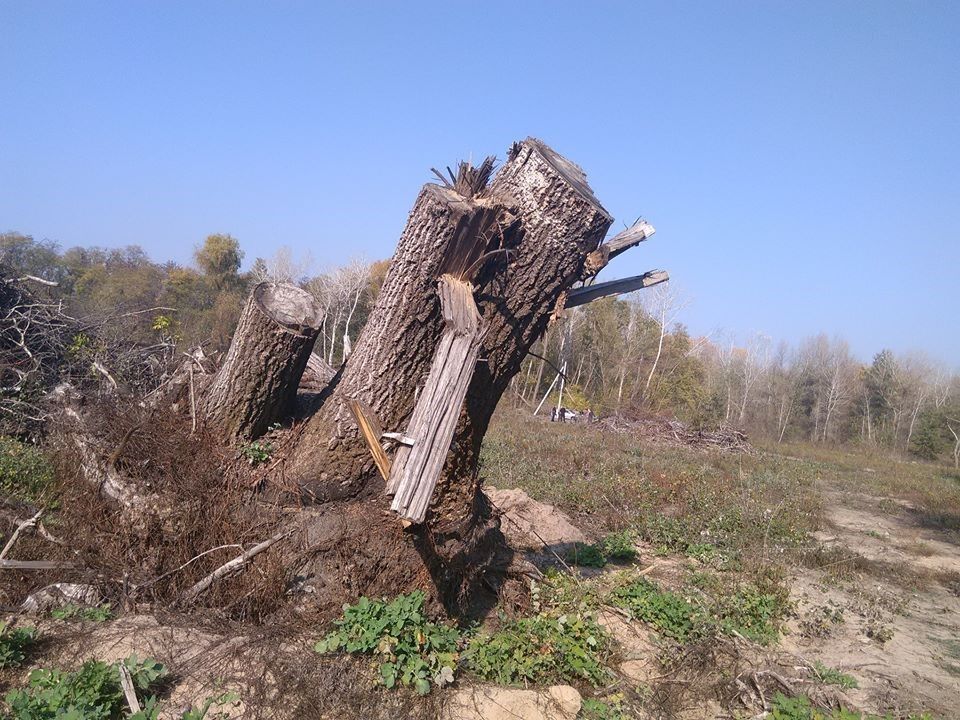 Будут ли выборы в элитной Обуховке под Днепром 4