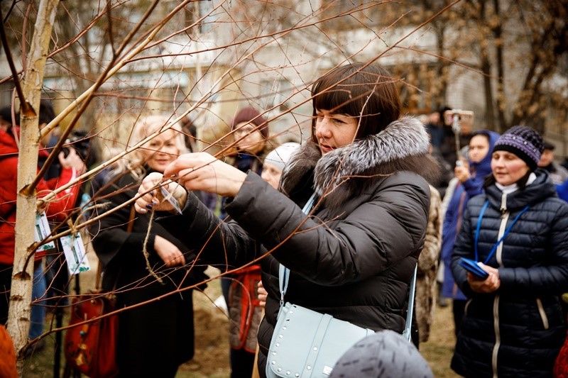 В Днепре команда Геннадия Гуфмана организовала посадку уже четырех семейных садов 2