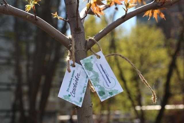 В Днепре команда Геннадия Гуфмана организовала посадку уже четырех семейных садов 9