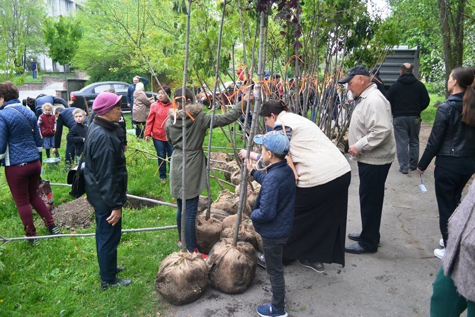 В Днепре команда Геннадия Гуфмана организовала посадку уже четырех семейных садов 14