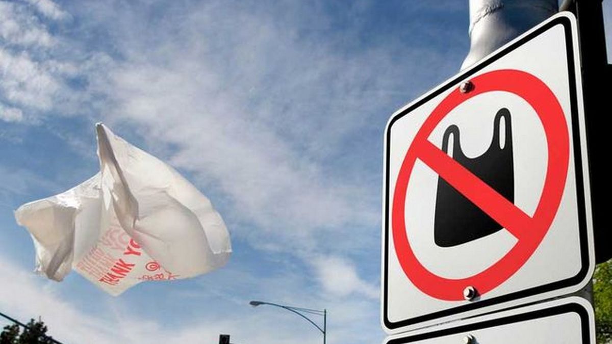 В Днепре рассказали про запрет на пластиковые пакеты и возможные штрафы 2