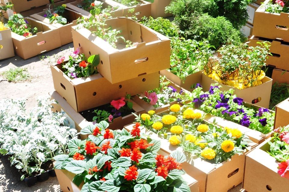 Активная осень: рейтинг соцпроектов от «Оппозиционной платформы – За жизнь» в Днепре 2