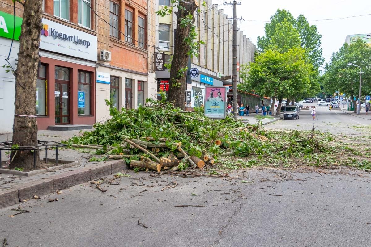 Почему деревьев мало, думаем все знают
