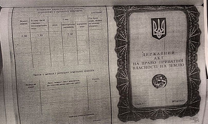 Из-за действий мошенников часть левобережья Каменского может отойти к Елизаветовке 1