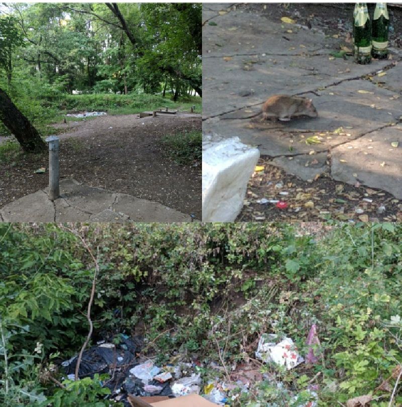 Бесплатный проезд и борьба с магазинами: топ-10 петиций декабря к мэрии Днепра 2