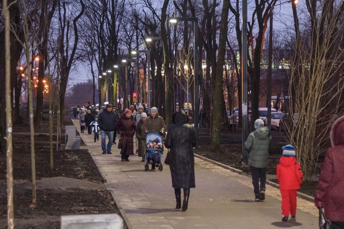 Елки от «ОП – За життя» ждут встречи в следующем году 6