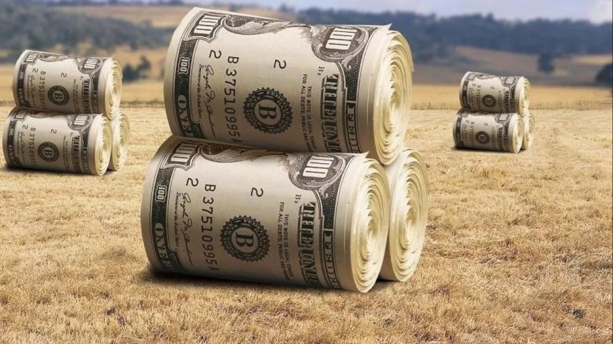 В Днепре прокуратура отвоевала земли на 800 миллионов гривен у фирмы связанной с офшором