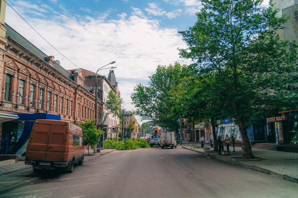 До вырубки на Короленко были такие деревья