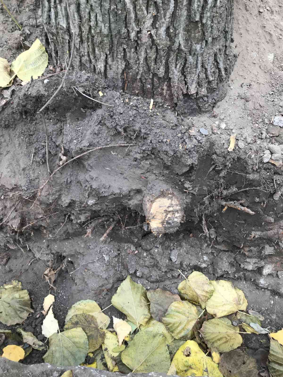 Почему ремонт в квартире заинтересовал прокуроров Днепра: позиция прокурора Александра Шпака 8