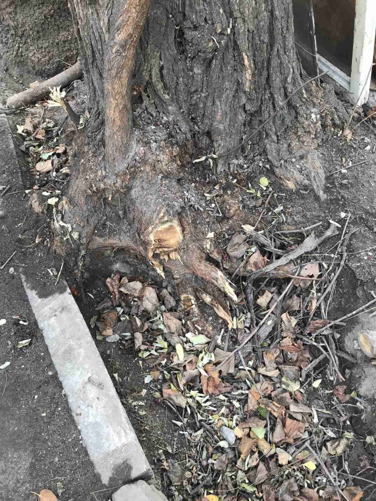 Почему ремонт в квартире заинтересовал прокуроров Днепра: позиция прокурора Александра Шпака 10